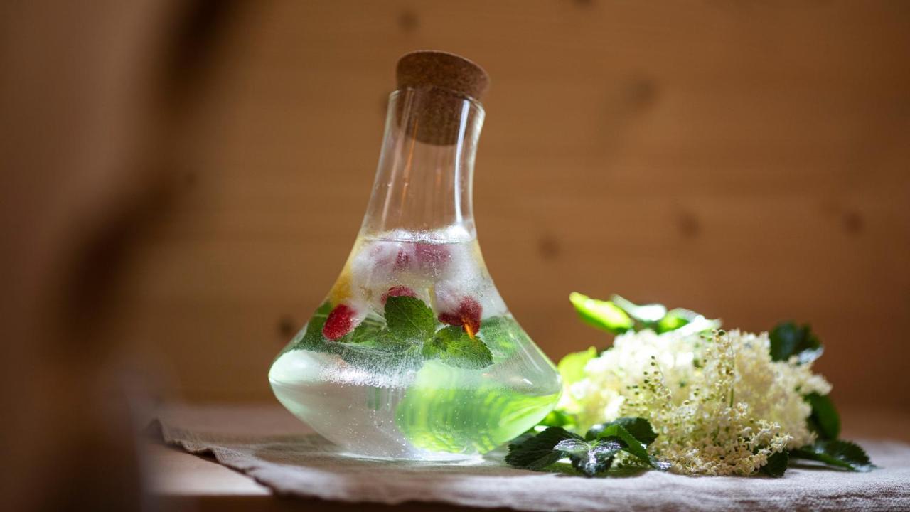 Natura Boutique Chalet Wellness Spa Dobbiaco Zewnętrze zdjęcie